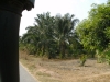 DIGITAL CAMERA