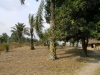 DIGITAL CAMERA