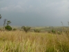 DIGITAL CAMERA