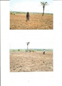 scan Sr. 002