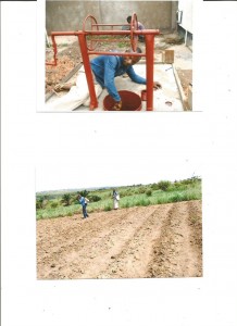 scan Sr. 003